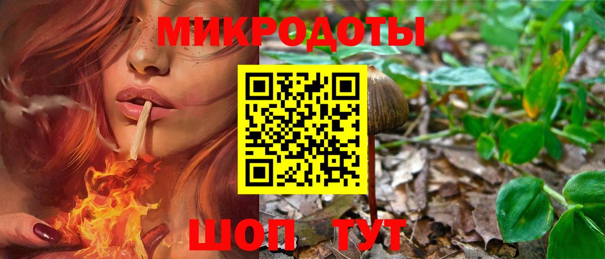 купить закладку  Галлюциногенные грибы мицелий  Вход с VPN  Чебаркуль 