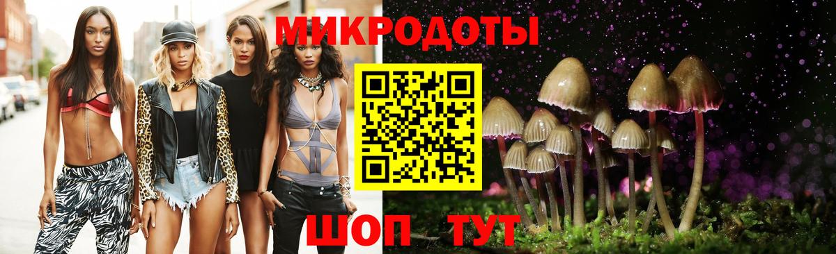 Псилоцибиновые грибы мицелий Чебаркуль