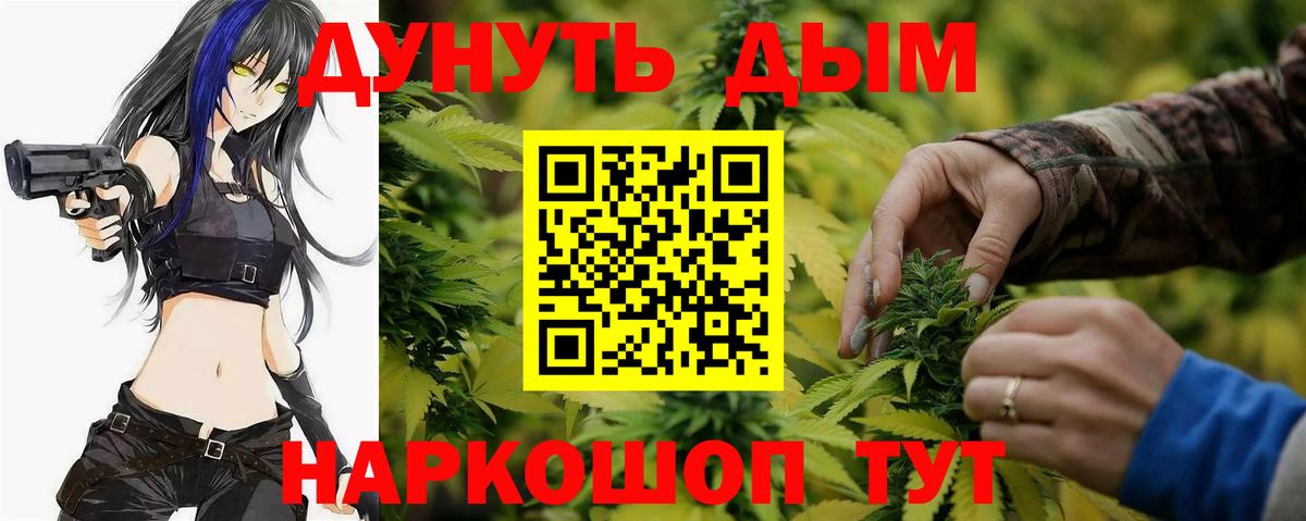 Бошки марихуана семена  Конопля ГИДРОПОН  Канабис семена  Вход с VPN  Канабис OG Kush  Чебаркуль 